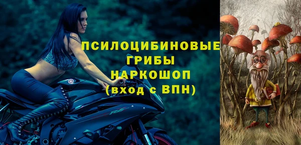 гашик Алексеевка