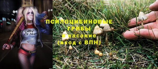 гашик Алексеевка