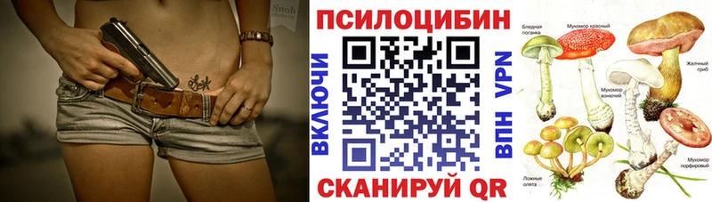 дарнет шоп  ОМГ ОМГ ONION  Галлюциногенные грибы Psilocybine cubensis  Волхов 